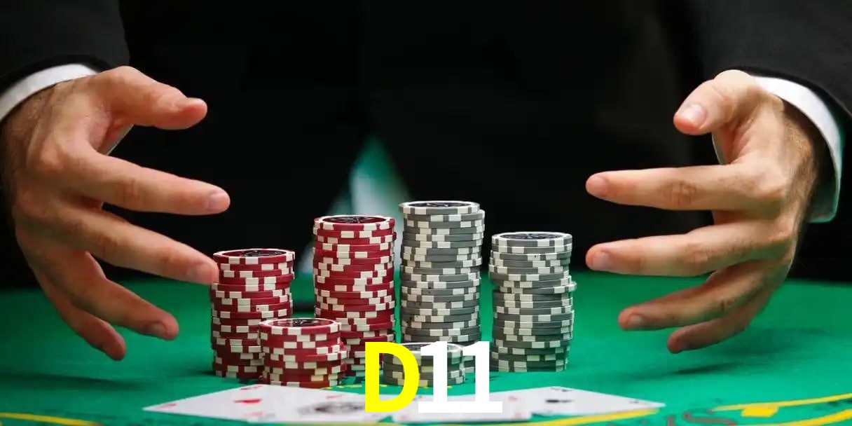 Ofertas Exclusivas D11